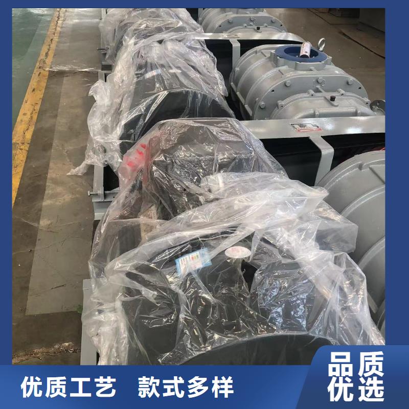 2025三叶罗茨鼓风机LFSR200产品细节