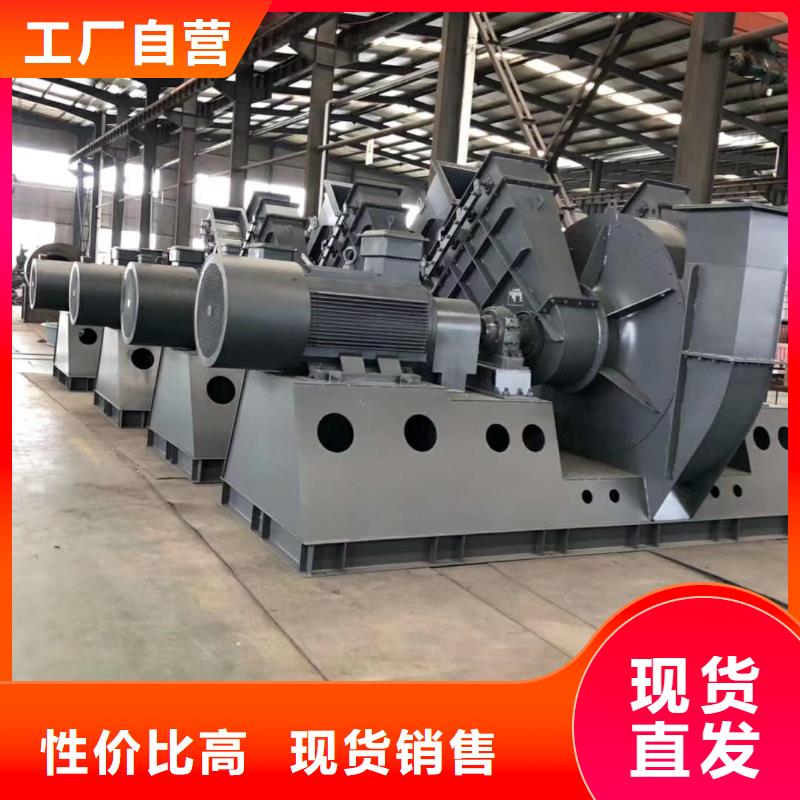 山东临风科技股份有限公司罗茨风机D100-71-1.6本地公司
