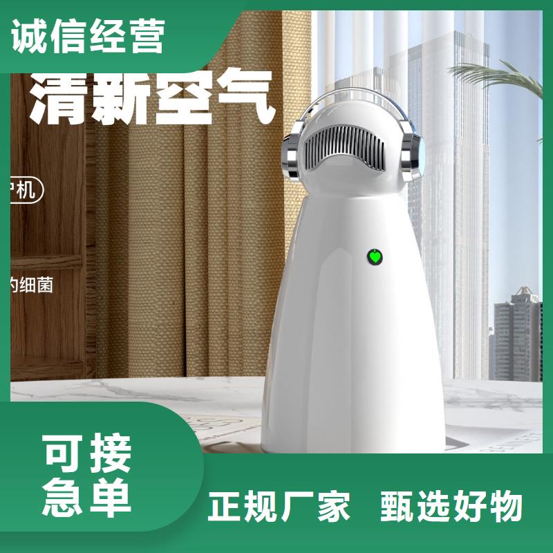 【深圳】室内除甲醛批发价格空气守护当地制造商