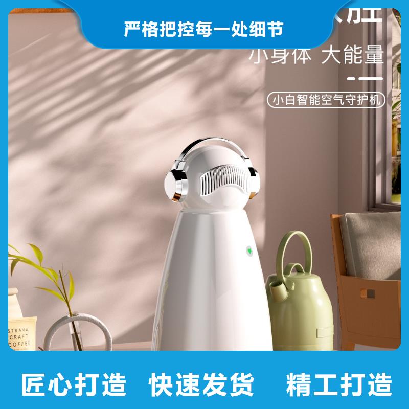 【深圳】负离子空气净化器生产厂家无臭养宠让客户买的放心