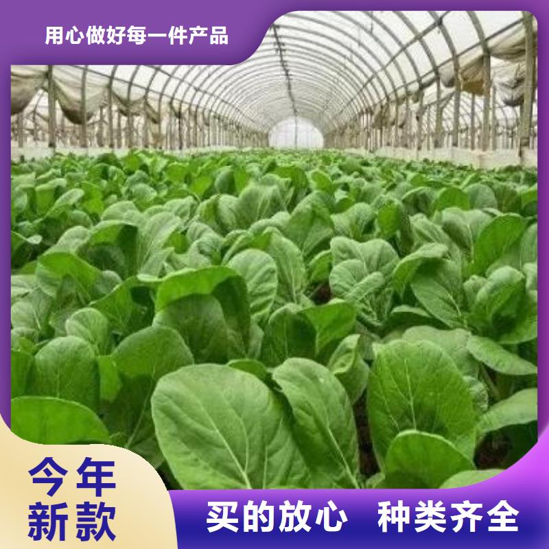 福建福州闽侯纯鸡粪促乡村振兴当地制造商