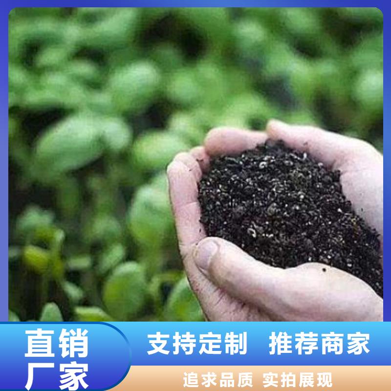 无棣纯鸡粪突破土壤板结市场行情