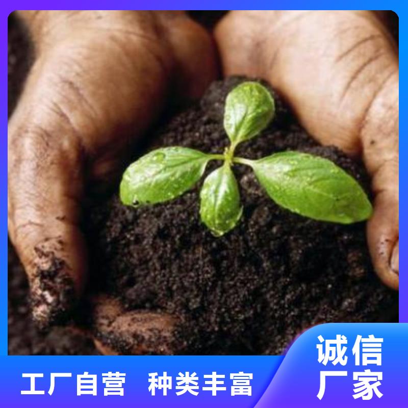 霸州文安廊坊发酵鸡粪哪里有卖的专业完善售后