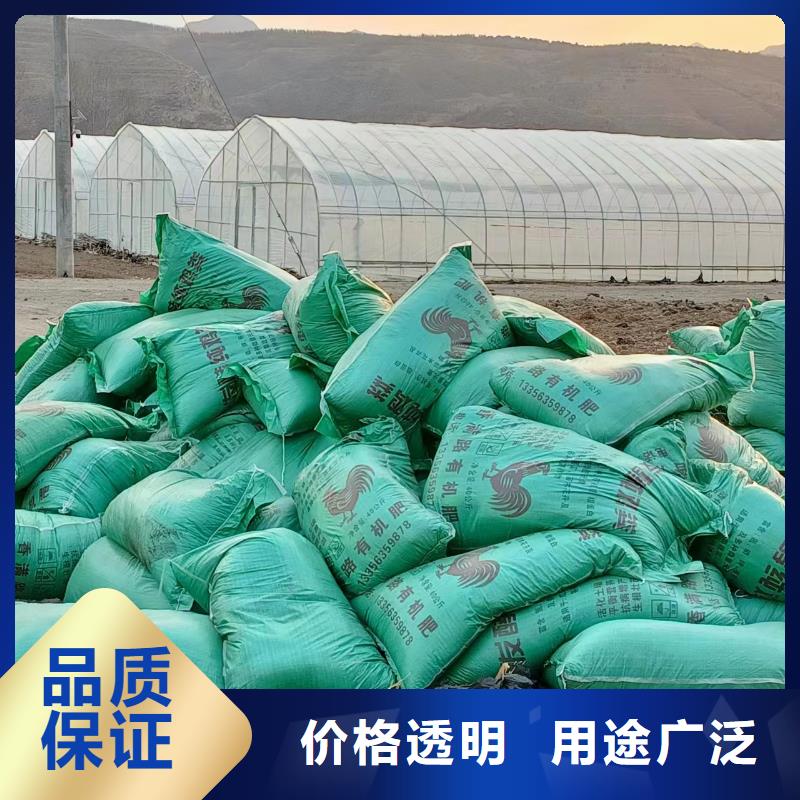 泰安济南聊城晒干鸡粪你用过吗产品优势特点