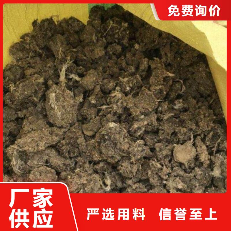 邹平鸡粪厂家直供本地品牌