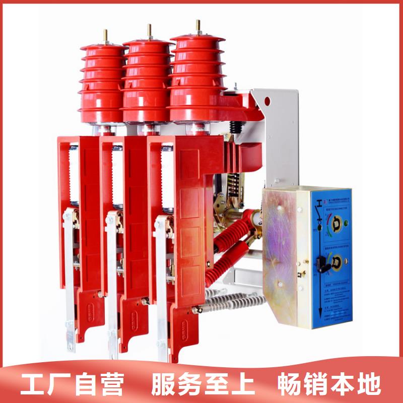 FLN36-24/T630-20型SF6负荷开关按需定做