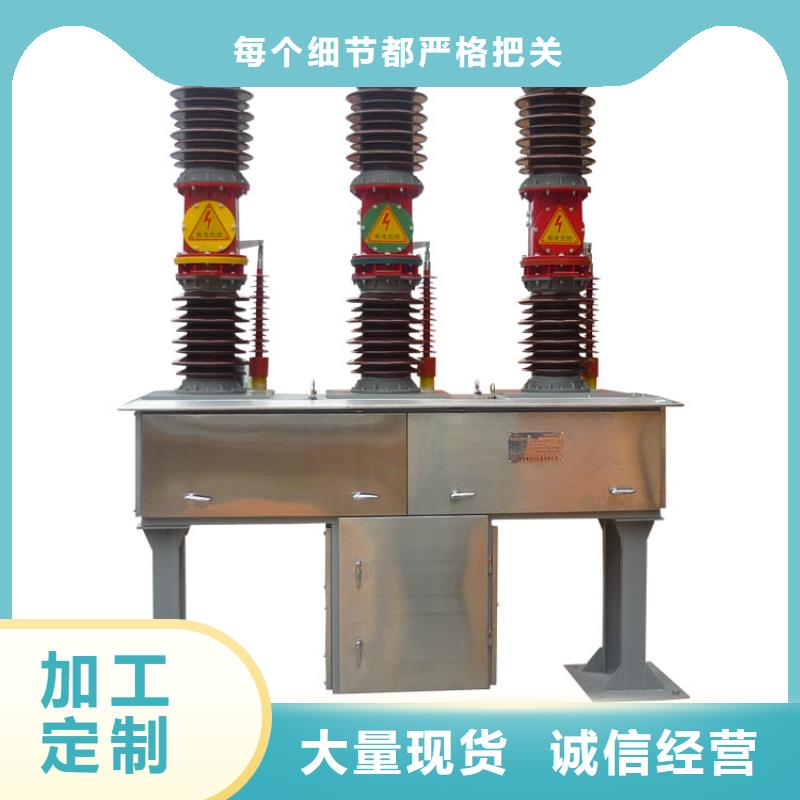 LW30-72.5/3150-40六氟化硫断路器一站式供应厂家