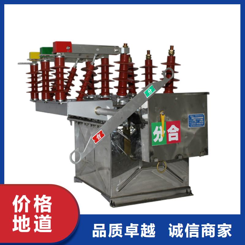 ZW43-12G/T630户外高压真空断路器品质不将就