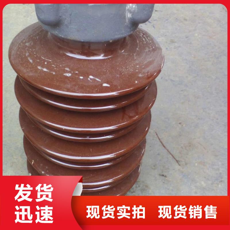 FXBW2-110/70绝缘子樊高畅销当地