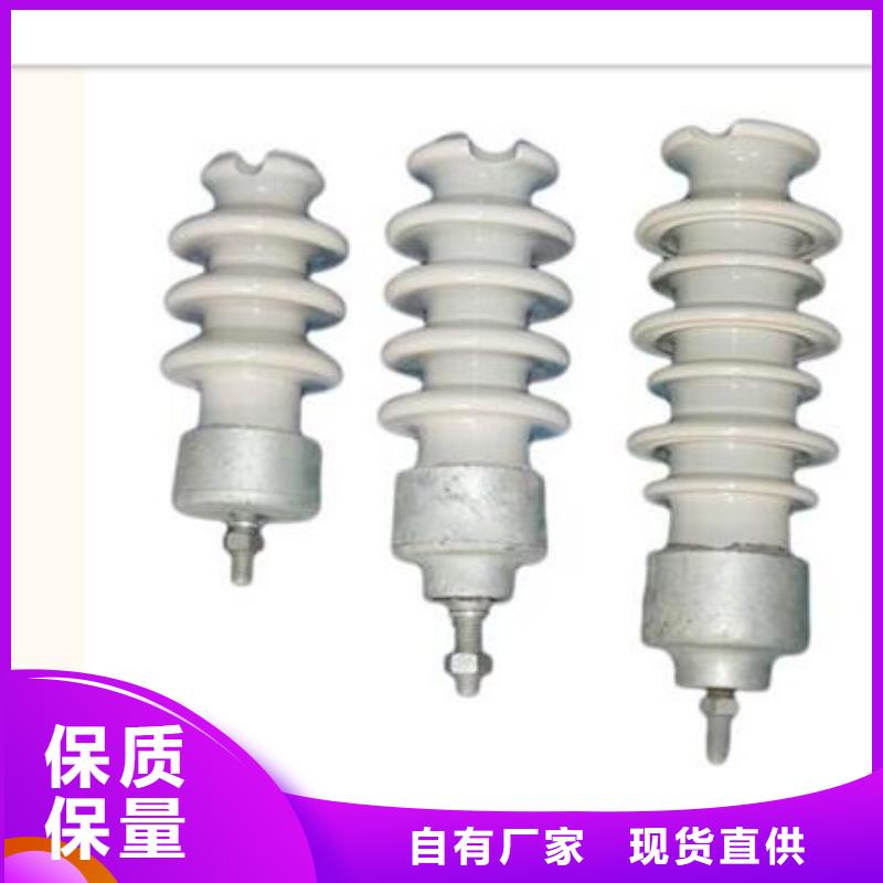 FXBW2-500/300硅胶绝缘子樊高当地服务商