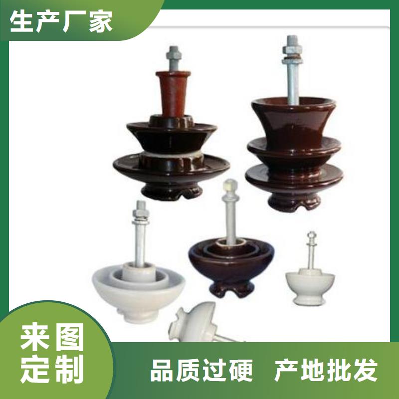 FZSW3-220/10高压复合绝缘子当地品牌