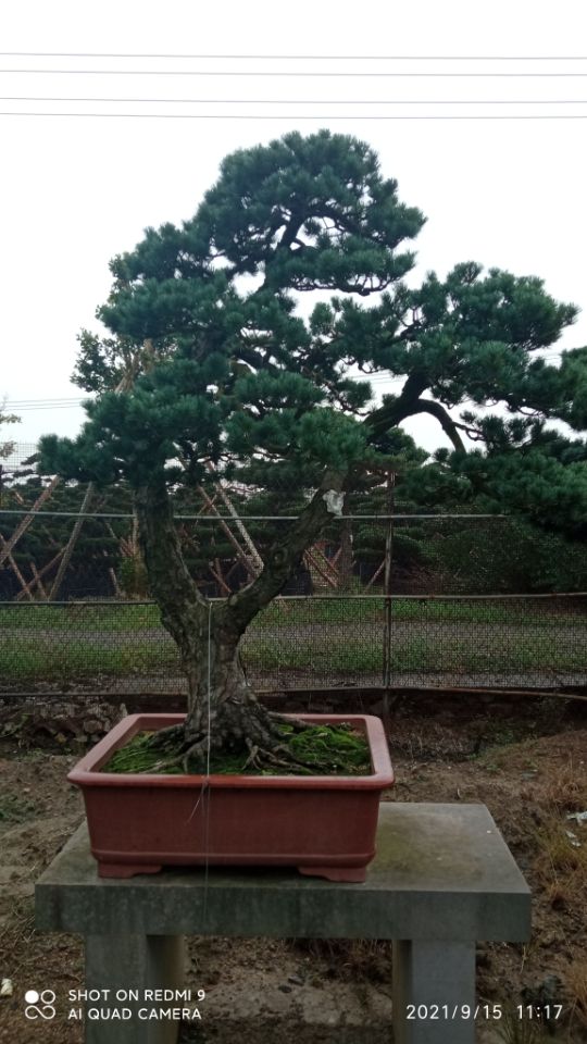 沼泽治理固化淤泥原位土壤固化咨询本地生产商