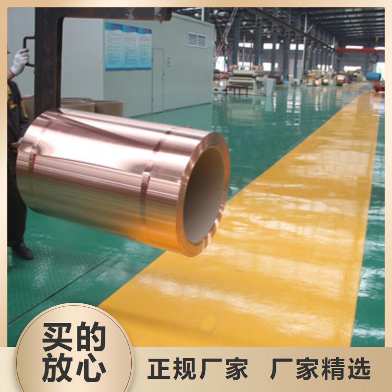 【等电位接地铜带100*0.3】产品的详细参数、实时报价、行情走势、优质商品批发本地服务商