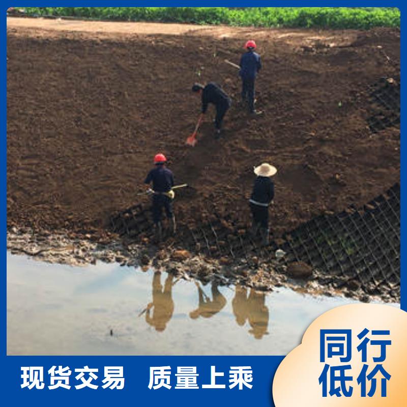 150mm高度蜂巢格室_150mm高度蜂巢格室现货齐全售后无忧