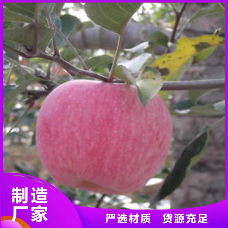 红富士苹果高性价比同城品牌