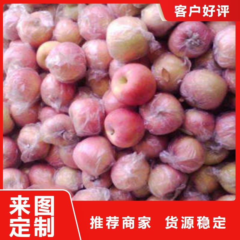 红富士苹果嘎啦苹果保障产品质量多年行业经验