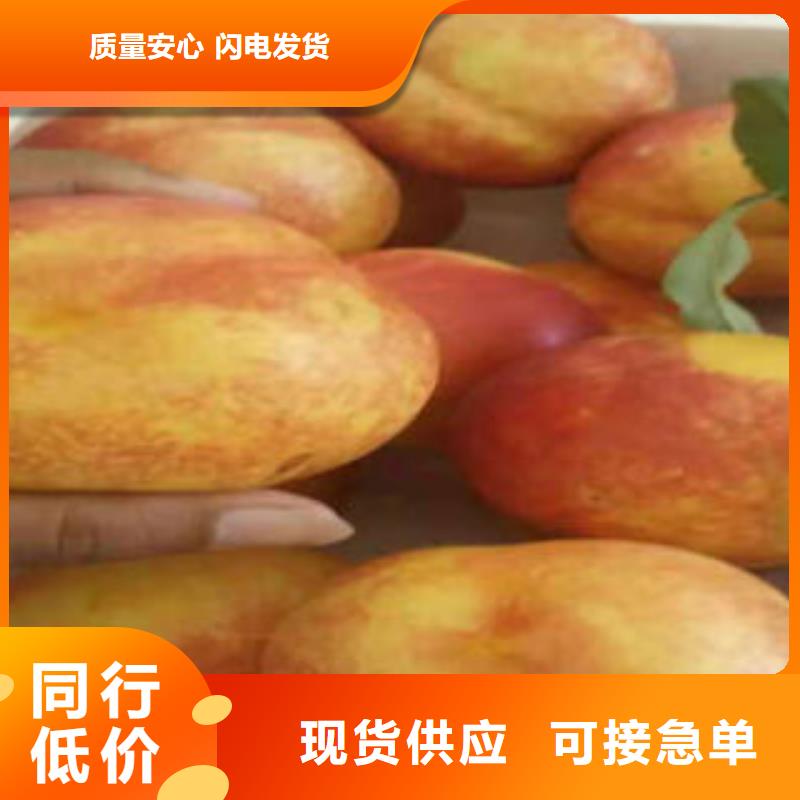 4厘米求购生产安装