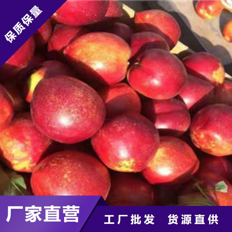 1.5米生产基地本地公司