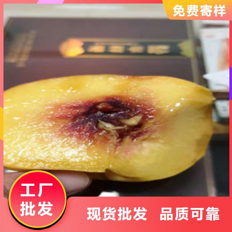 8公分基地同城厂家