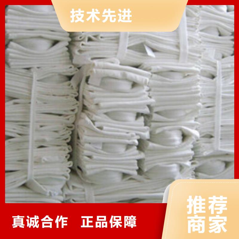 除尘器布袋脉冲除尘器精选好货当地厂家