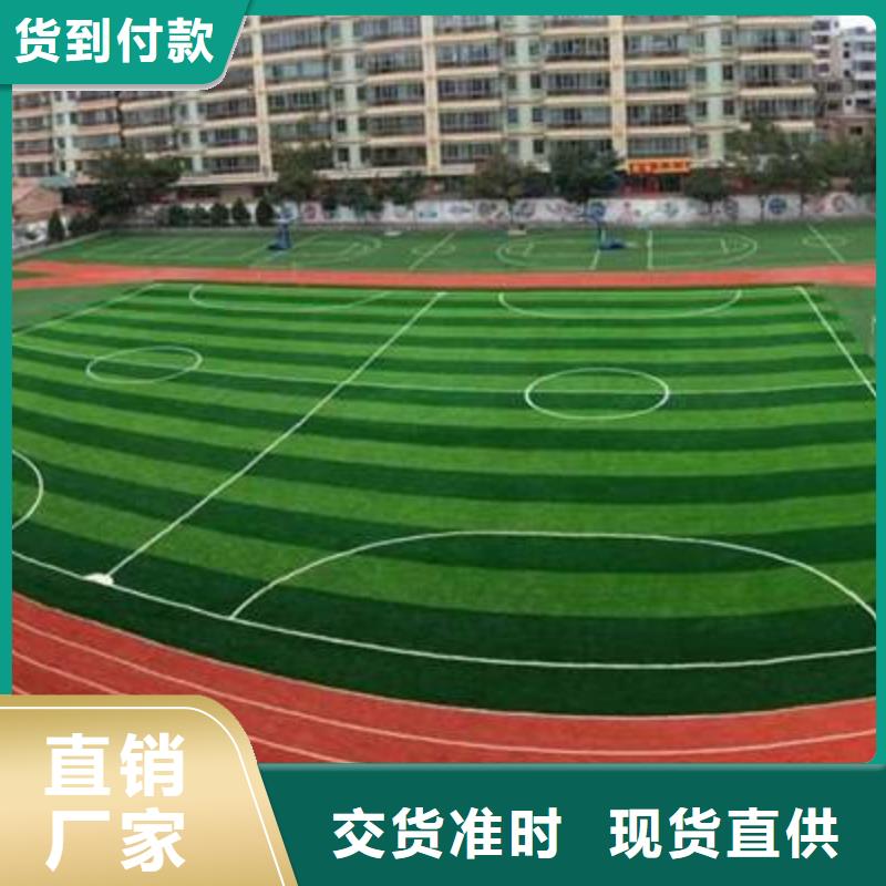 【妙尔】塑胶篮球场种植基地欢迎来厂考察