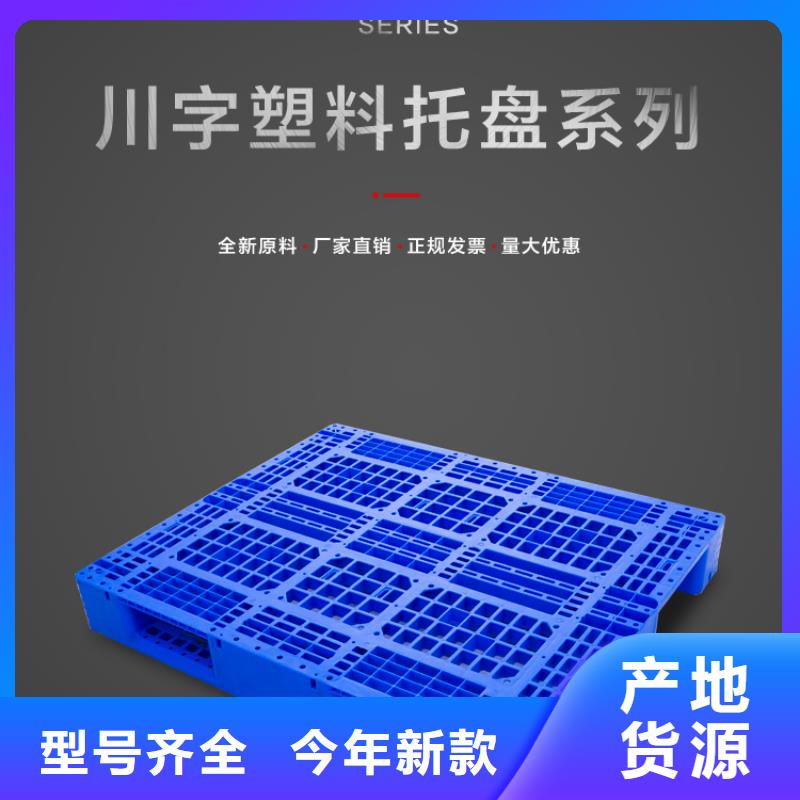 节能冷库塑料托盘生产厂家本地服务商