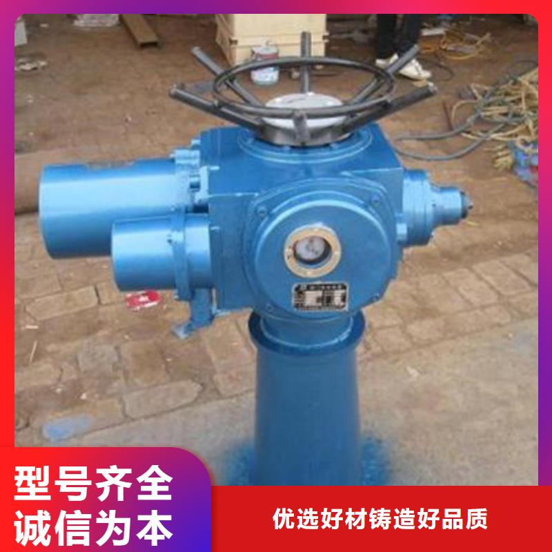 启闭机-QL-30T-SD手电两用螺杆式启闭机价格是多少本地品牌
