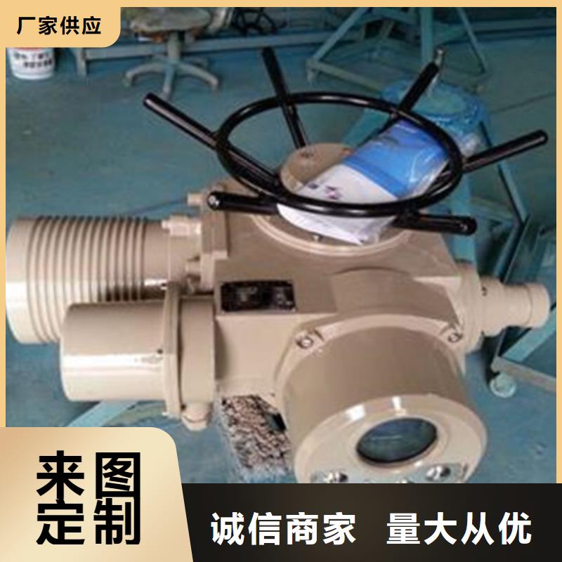 500kn启闭机定做_瑞鑫铸铁拍门闸门启闭机钢闸门钢坝水工机械厂精心打造