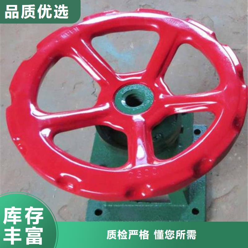 2*10T双吊点手电两用启闭机价格产地采购