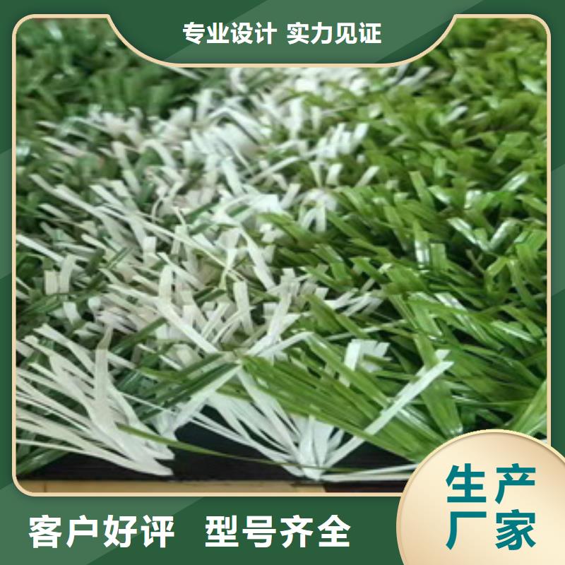 人造草坪PVC塑胶地板用心做品质品质服务诚信为本