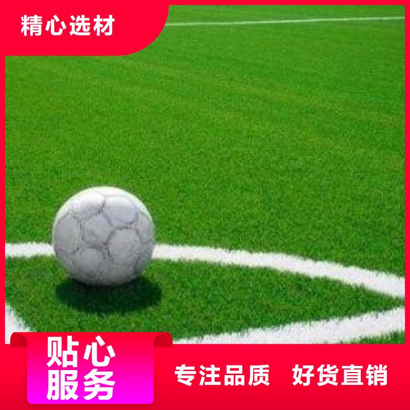 人造草坪塑胶跑道厂家选择我们没错欢迎来电询价