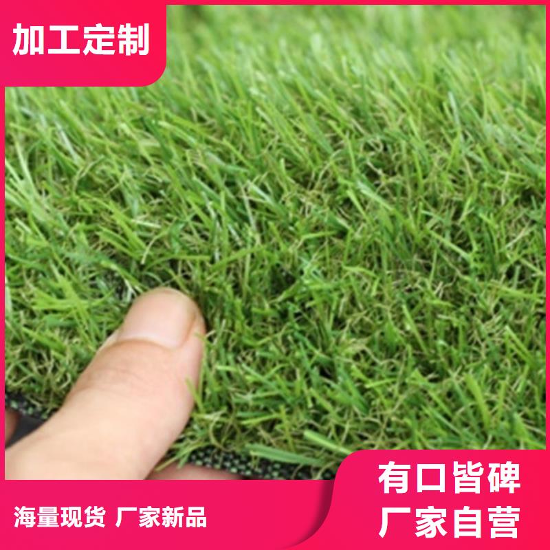 球场草坪橡胶球场材料当地经销商