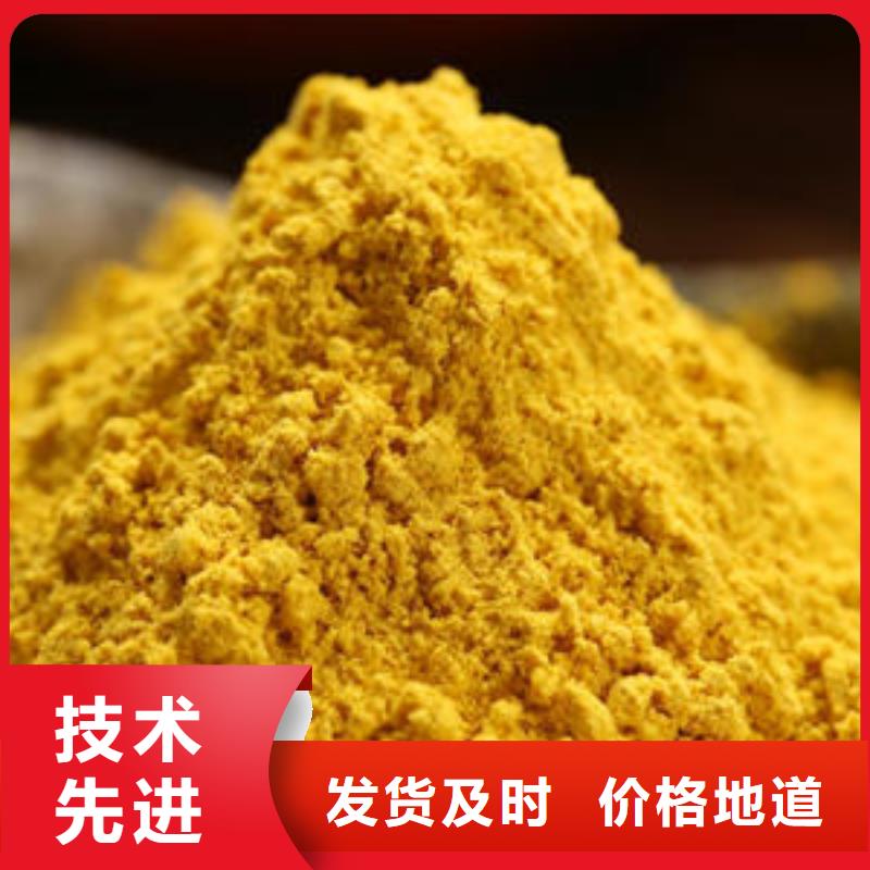 南瓜粉灵芝精品优选当地公司