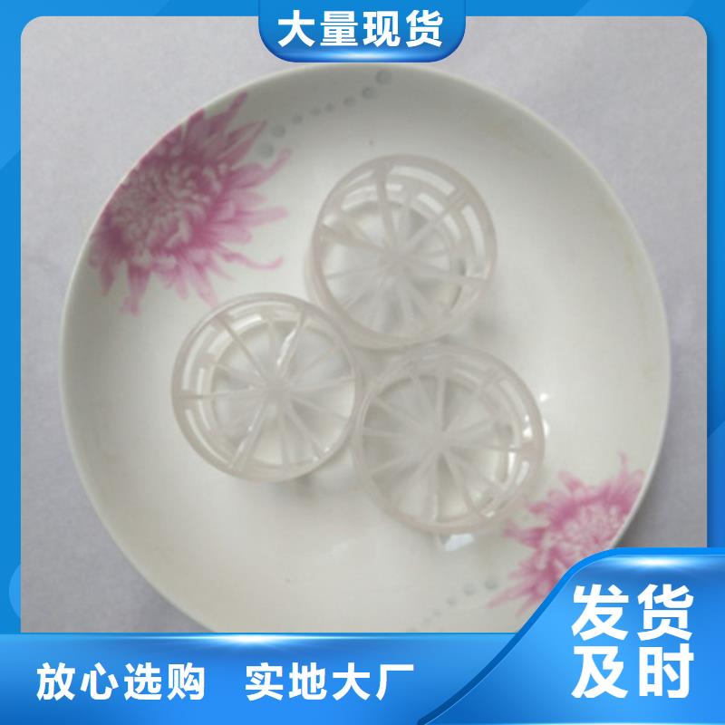 鲍尔环填料_食品级硅藻土品质可靠优良工艺