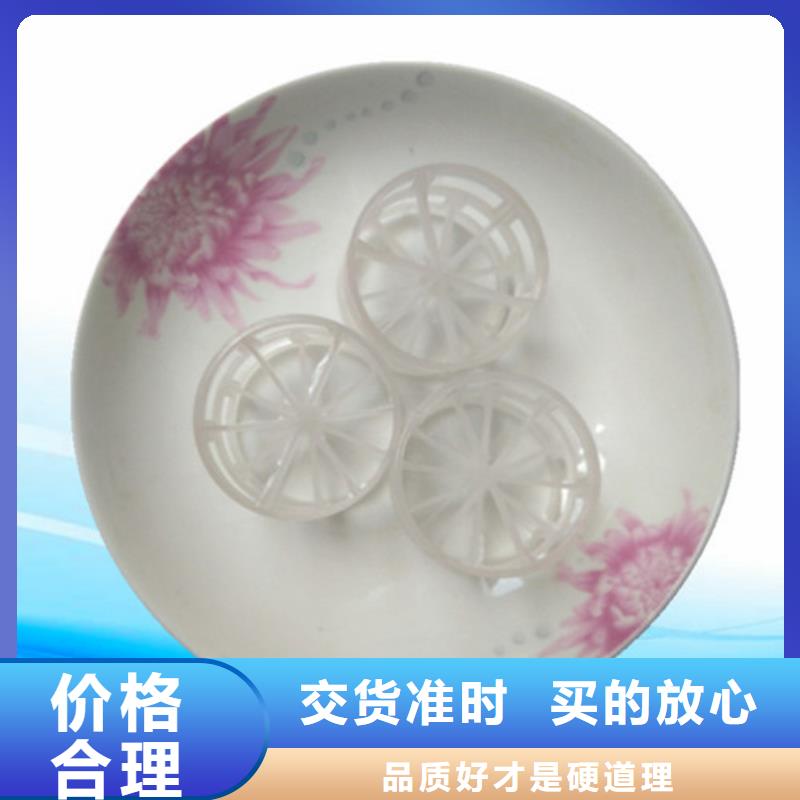 【鲍尔环填料无烟煤滤料物美价优】本地货源