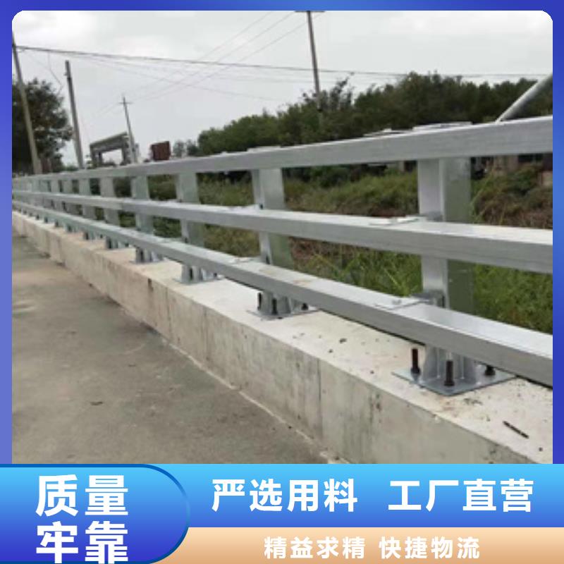 安装Q355D河道护栏优质产品优惠价格一周内发货