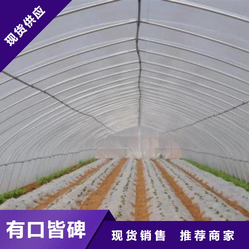海盐蔬菜大棚钢架多少钱一吨同城供应商