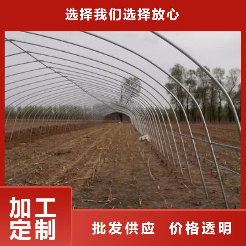 海盐多肉专业为三农服务承诺守信一对一为您服务