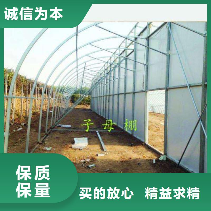 加工大棚镀锌管一对一为您服务