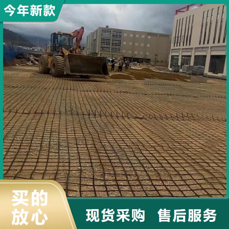 双向塑料土工格栅,单向塑料土工格栅,塑料土工格栅,钢塑土工格栅-亿路通精选厂家好货