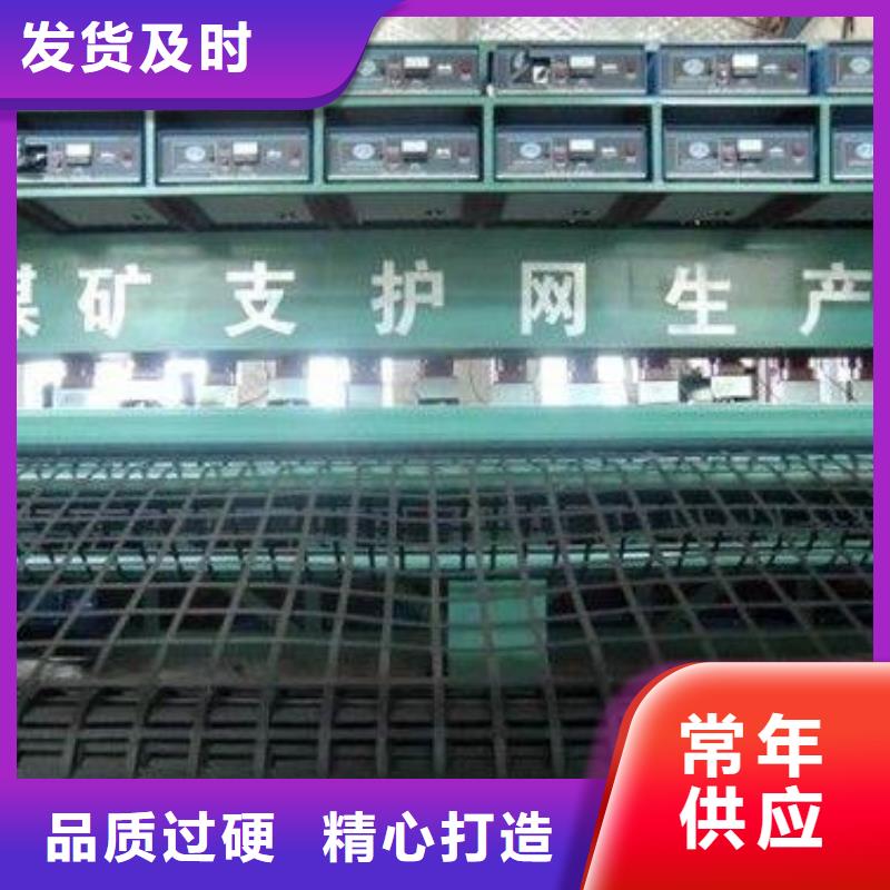 矿用钢塑复合假顶网土工滤网厂家案例当地供应商