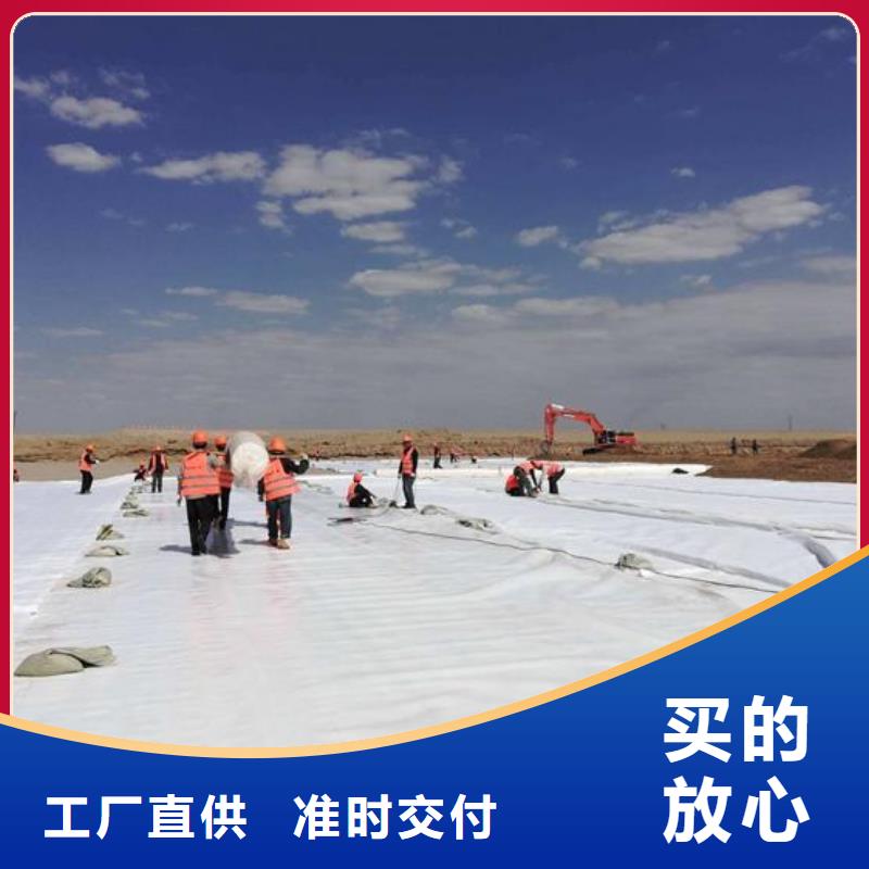 找复合土工膜一布一膜-海量产品批发实力工厂