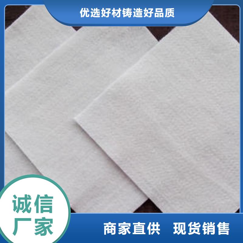 土工布毛细排水板厂家直营工厂直销