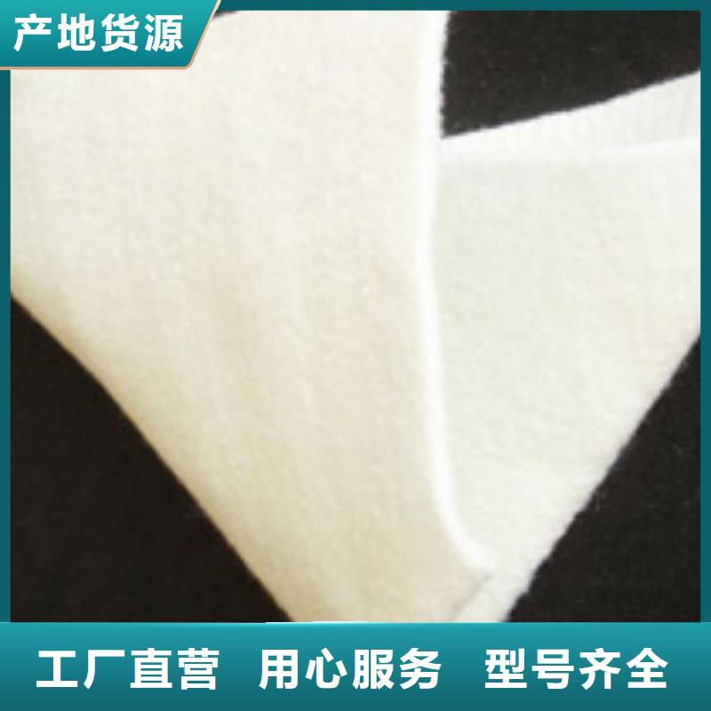 土工膜-土工布-HDPE土工膜-防渗膜厂家当地厂家