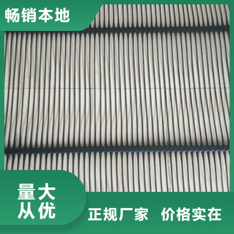 单向拉伸塑料土工格栅-亿路通本地公司