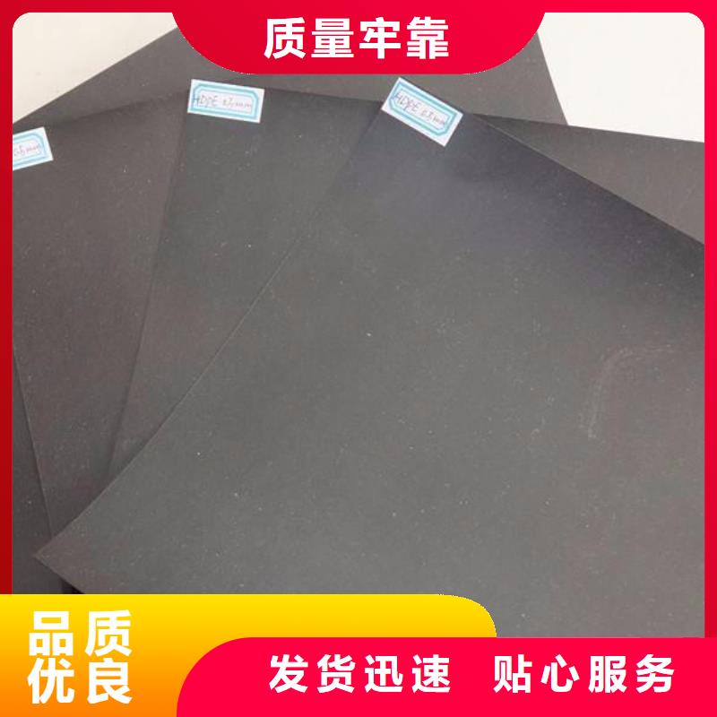 土工膜涤纶土工格栅有口皆碑现货充足