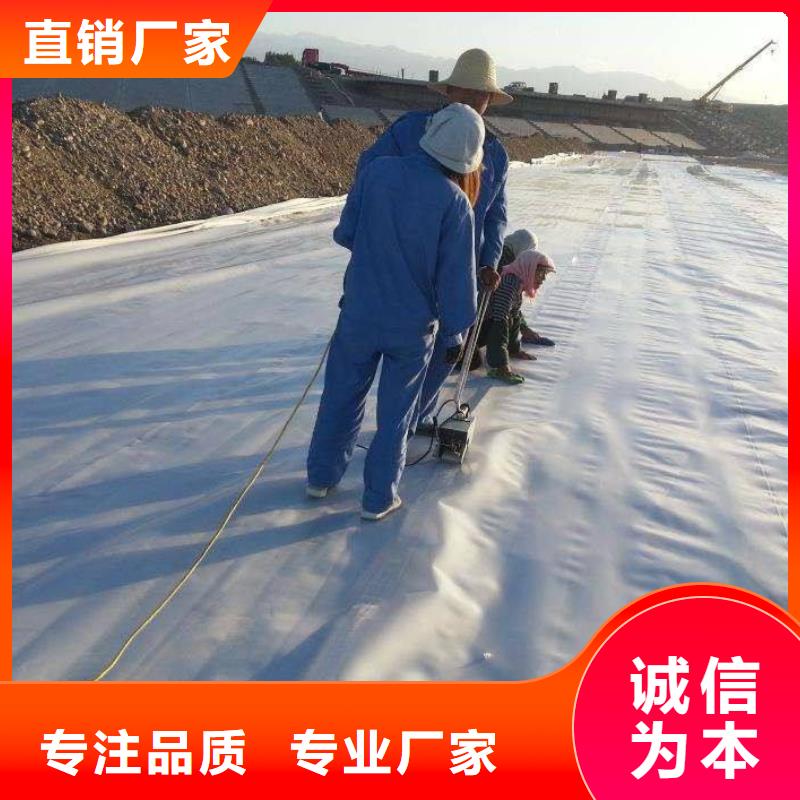 复合土工膜PP焊接土工格栅售后无忧同城货源