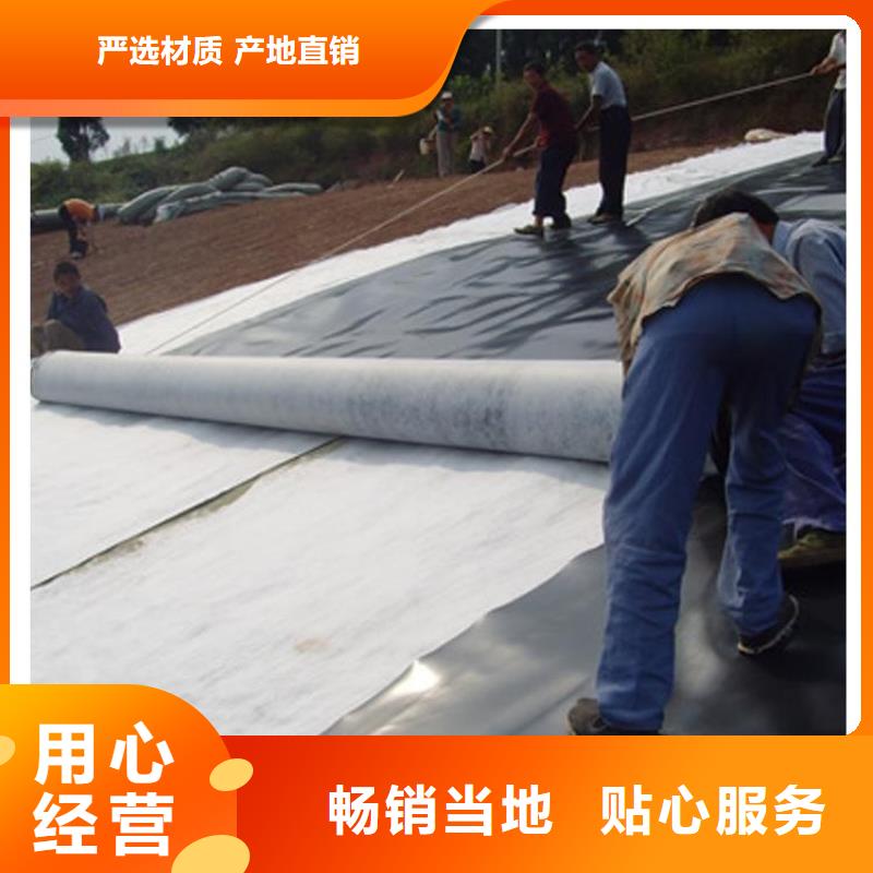 复合土工膜_长丝土工布_HDPE防渗膜_膨润土防水毯当地生产厂家