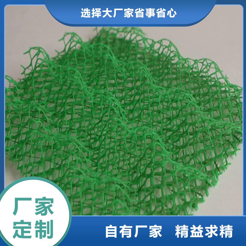 三维植被网,三维复合排水网,HDPE防渗膜精选好货