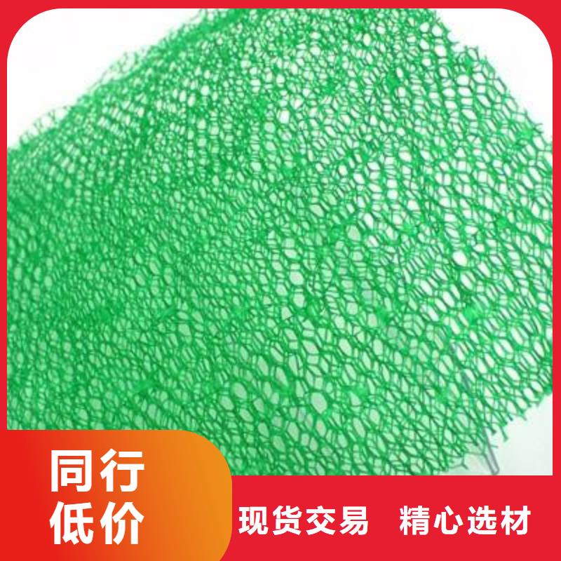 土工格栅-土工布-土工膜-三维植被网-厂家直销物美价优